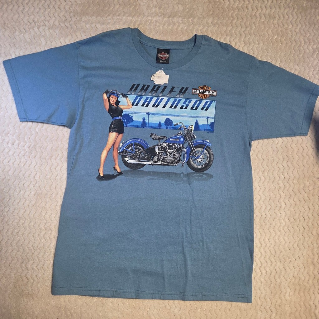Men's Harley-Davidson Graphic Tee Shirt Size L Blue Black Men's Harley-Davidson Graphic Tee Shirt Size L Blue Black