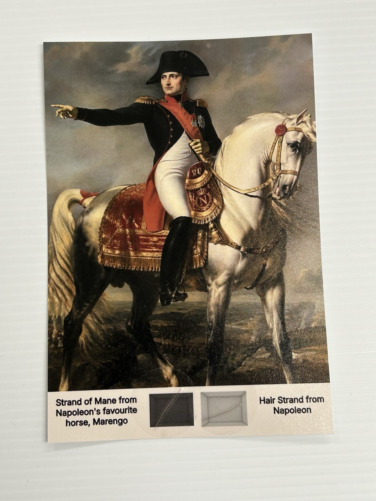 Napoleon Bonaparte & Marengo Mane Horse Hair Strand Lock Piece Speck Relic Napoleon Bonaparte & Marengo Mane Horse Hair Strand Lock Piece Speck Relic