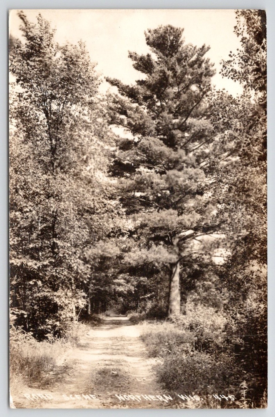 Northern Wisconsin Road Scene Tree Lined Dirt Road RPPC Northern Wisconsin Road Scene Tree Lined Dirt Road RPPC