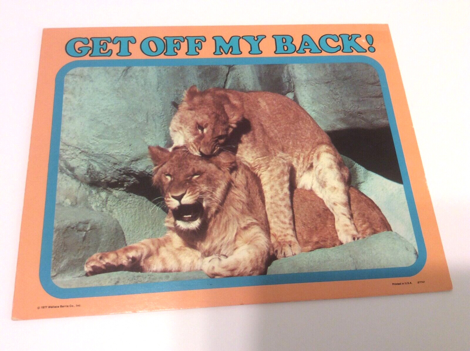 Wallace Berrie VTG 70s “Get Of My Back” Lion Humorous Desk Sign 9”x7” Wallace Berrie VTG 70s “Get Of My Back” Lion Humorous Desk Sign 9”x7”