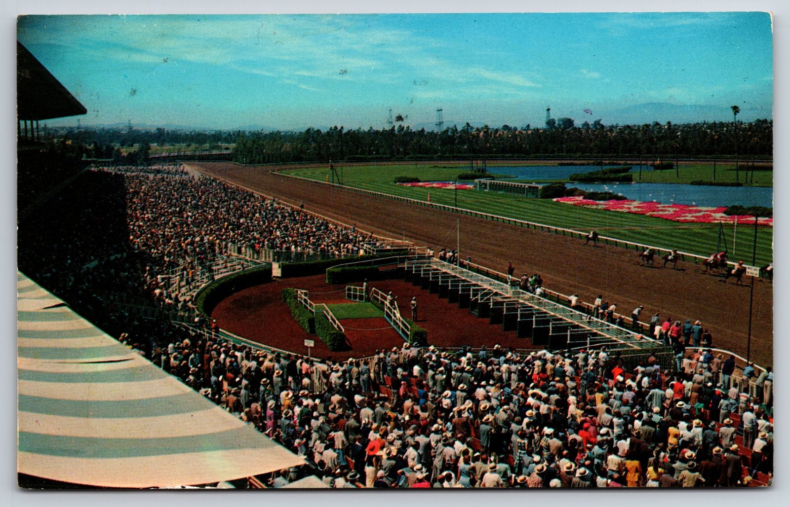 Hollywood Park Race Track Inglewood California Horse Racing Postcard Hollywood Park Race Track Inglewood California Horse Racing Postcard