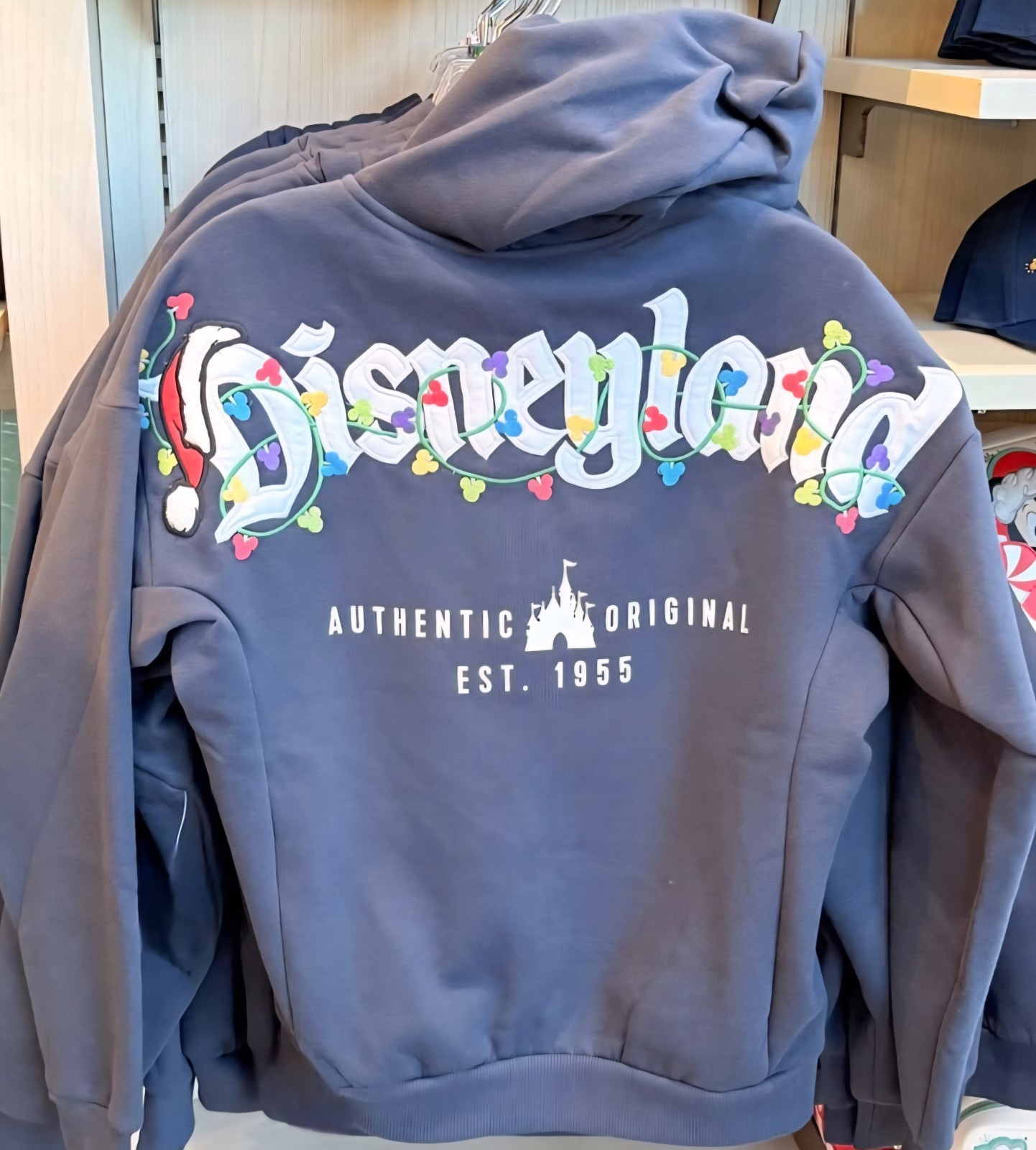 Disney Disneyland Christmas 2026 Mickey Mouse Lights Zip-Up Hoodie MEDIUM New Disney Disneyland Christmas 2026 Mickey Mouse Lights Zip-Up Hoodie MEDIUM New