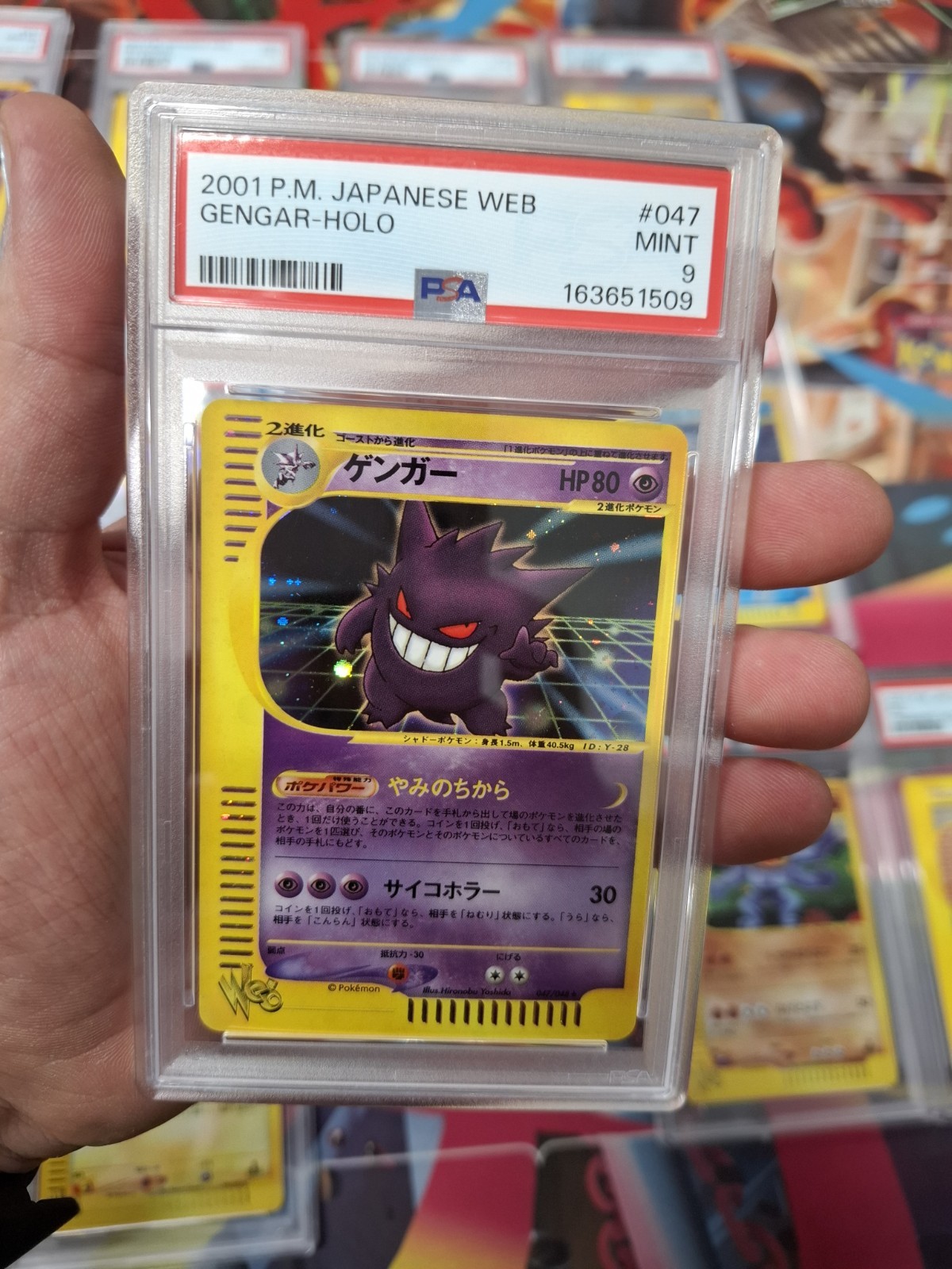 Pokemon Web Series Sequential Graded Psa Full Set Pokemon Web Series Sequential Graded Psa Full Set