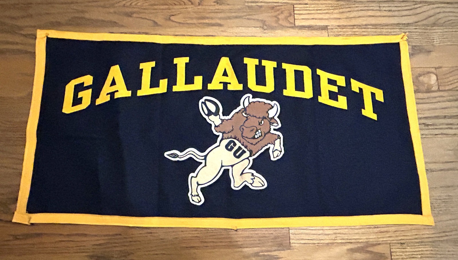 NICE Gallaudet University large rectangle banner, school mascot, 36" x 17 3/4" NICE Gallaudet University large rectangle banner, school mascot, 36" x 17 3/4"