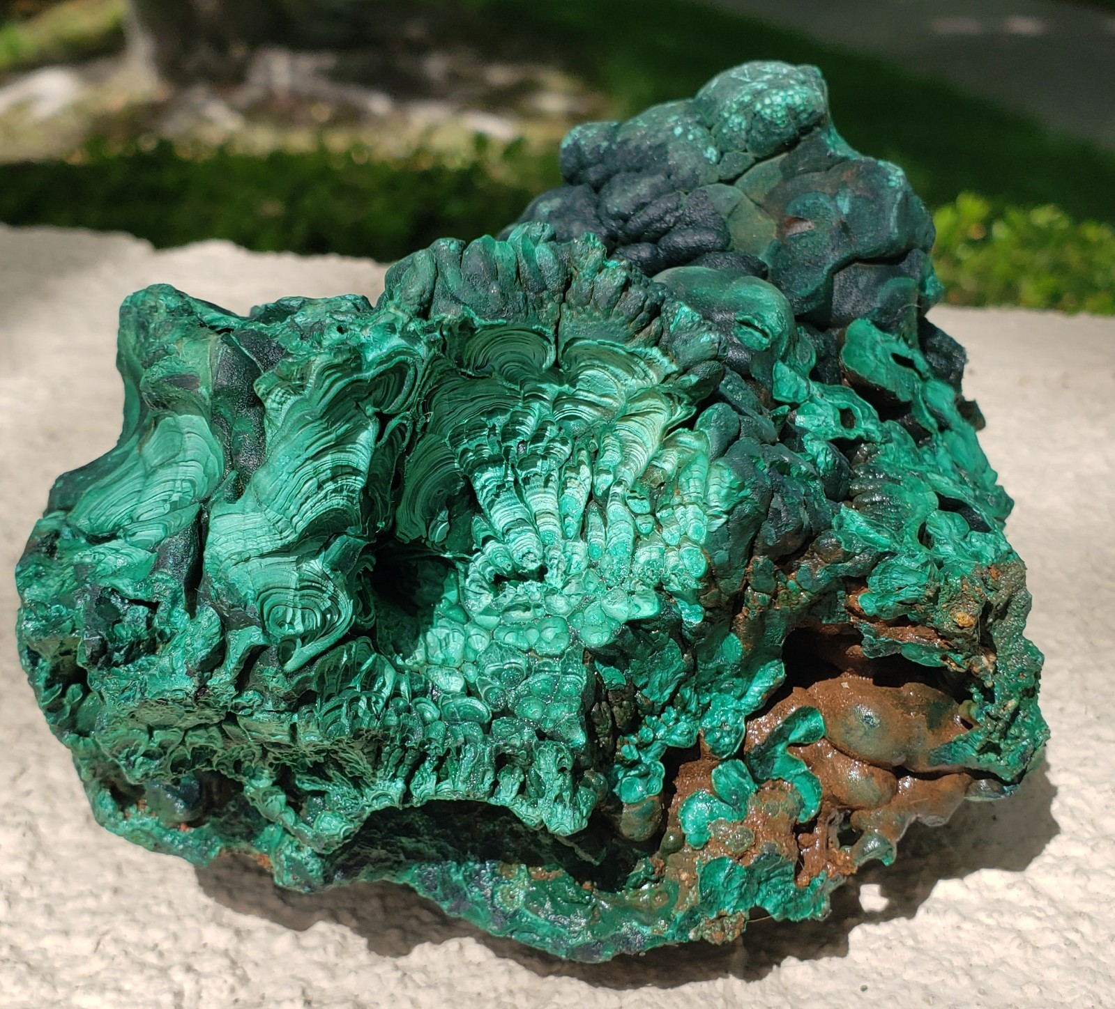 5" Natural Botryoidal Velvet Malachite Specimen, 1292g or 2.8 lbs 5" Natural Botryoidal Velvet Malachite Specimen, 1292g or 2.8 lbs
