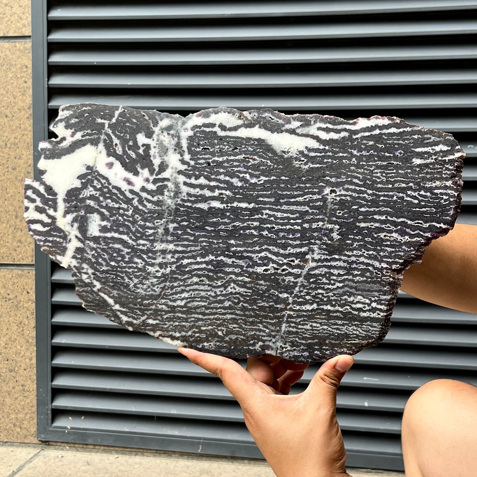 2.9 lb Natural Zebra Polished Slice Black White Stripe Crystal Mineral Specimen 2.9 lb Natural Zebra Polished Slice Black White Stripe Crystal Mineral Specimen