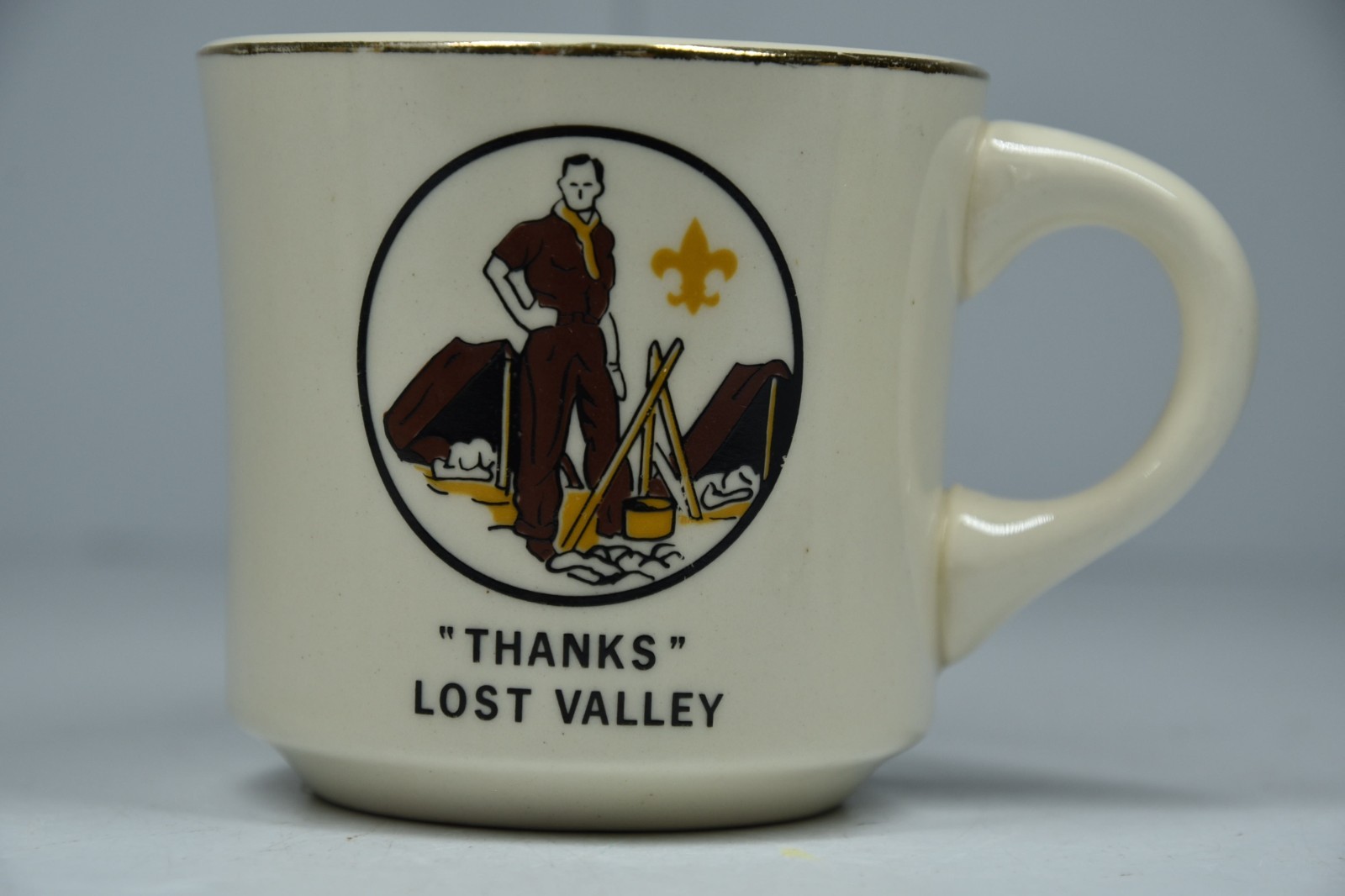Vintage Boy Scouts of America "Thanks" Lost Valley Camping Coffee Mug BSA