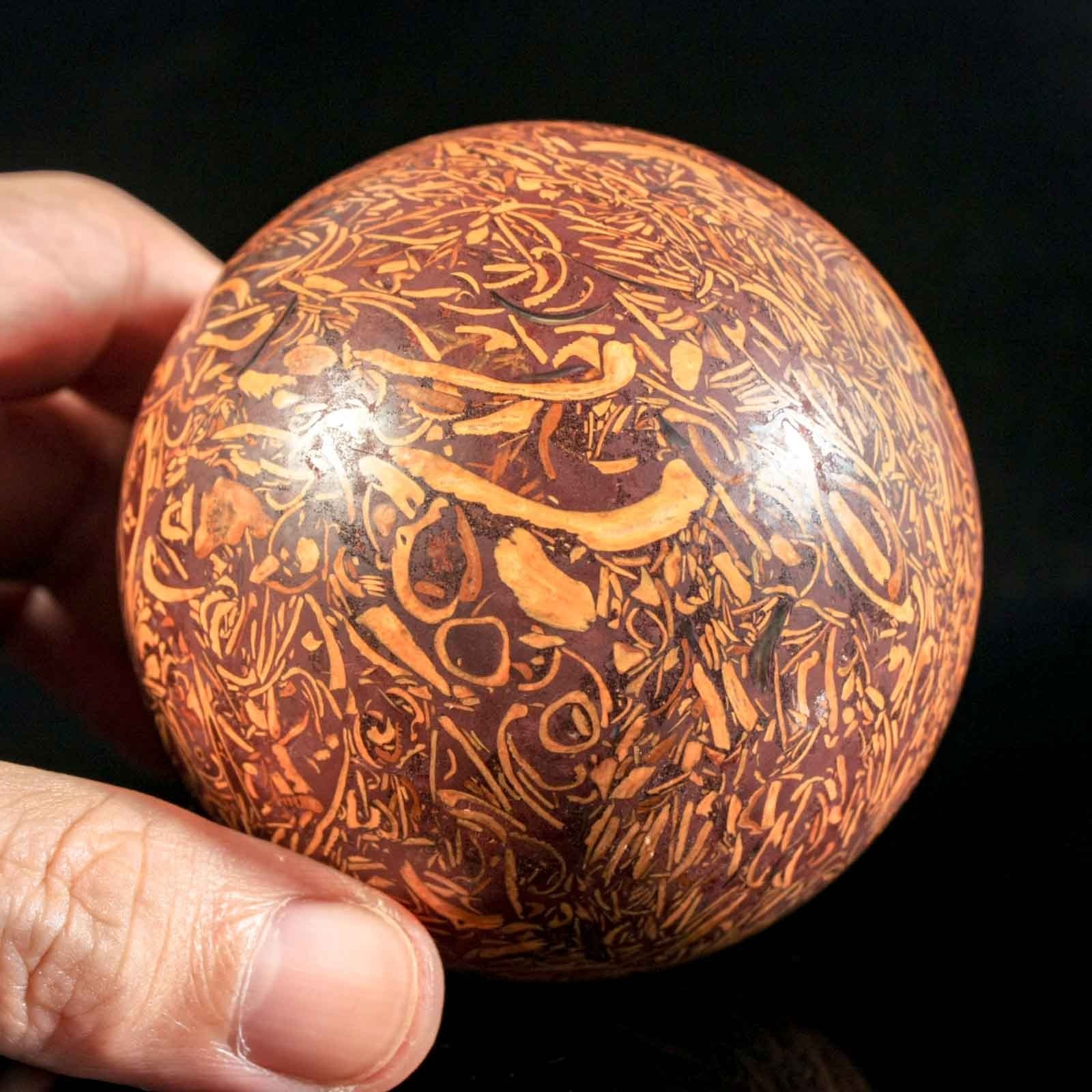2.8" 1.16LB Natural Calligraphy Stone Miriam Jasper Shell Fossil Crystal Ball 2.8" 1.16LB Natural Calligraphy Stone Miriam Jasper Shell Fossil Crystal Ball