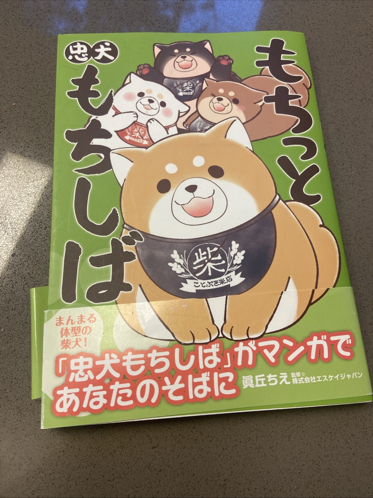 Chuken MOCHISHIBA Mochi Manga Japanese edition book very hard to find Chuken MOCHISHIBA Mochi Manga Japanese edition book very hard to find