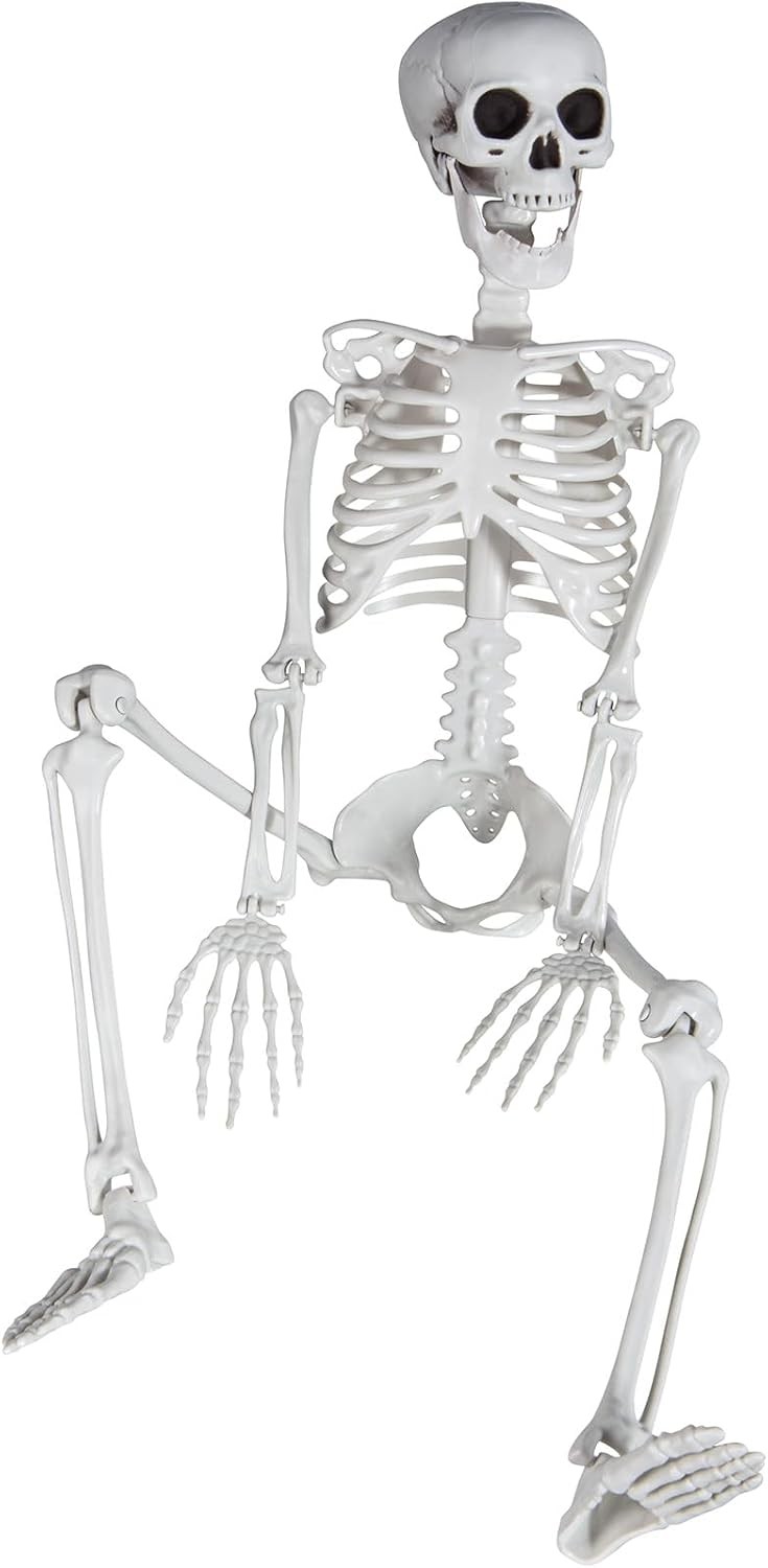 3ft/36inch Skeleton for Halloween, Realistic Skeleton with Posable Joints 3ft/36inch Skeleton for Halloween, Realistic Skeleton with Posable Joints