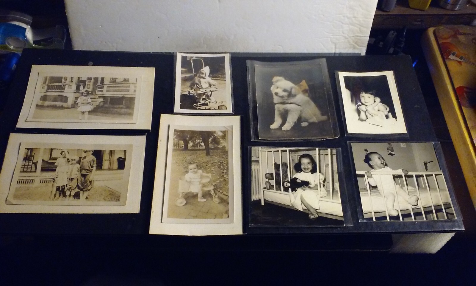 Lot 8 Vintage Antique Original Snapshot Photos Children Babies Doggie in Sleeves Lot 8 Vintage Antique Original Snapshot Photos Children Babies Doggie in Sleeves