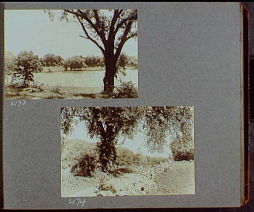 Photo:1919-1920 River or Lake Dirt Road Rock Wall Tree Reference Prints Photo:1919-1920 River or Lake Dirt Road Rock Wall Tree Reference Prints