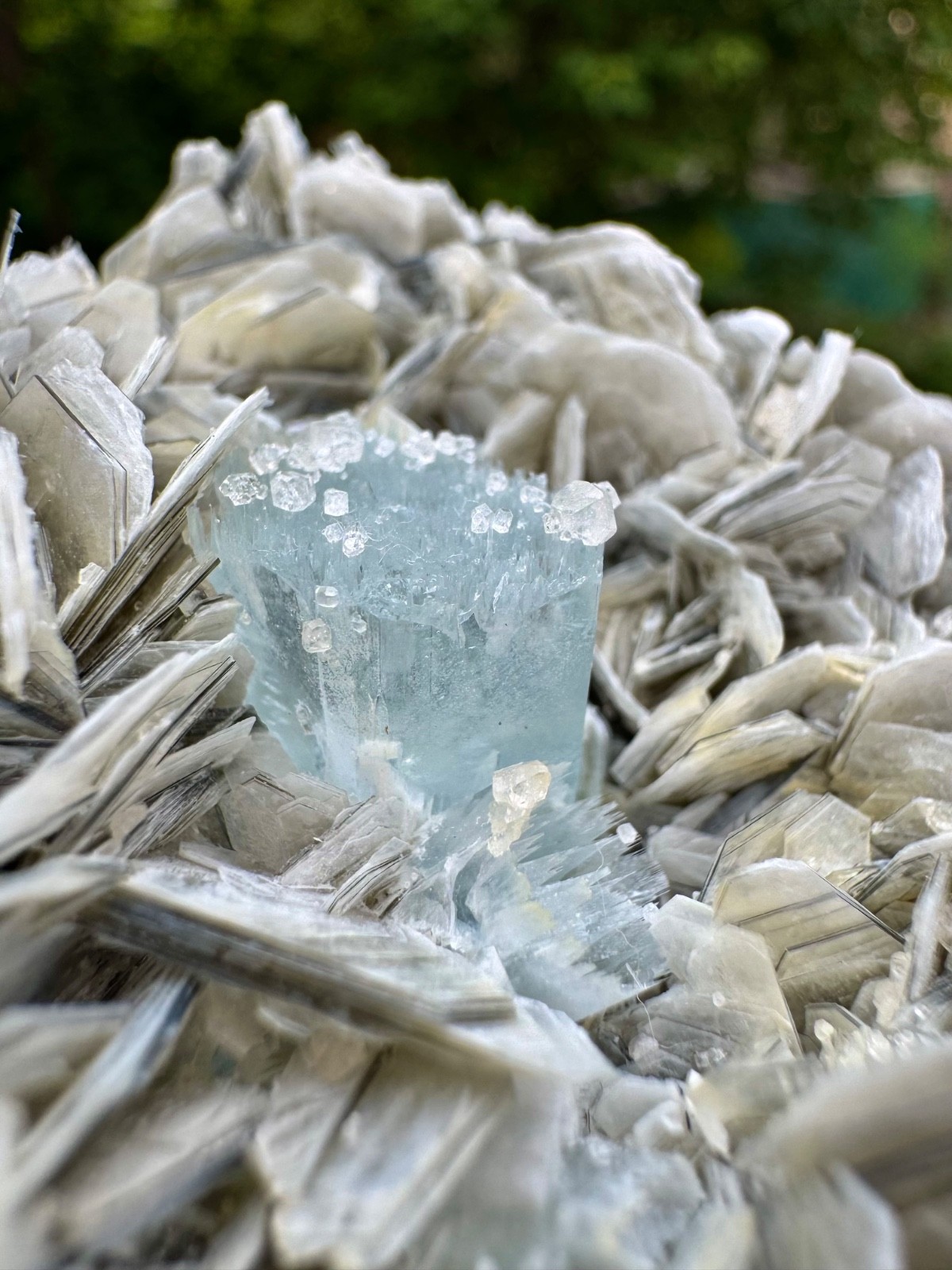 Beautiful Aquamarine Crystal with Muscovite Specimen, minerals, 935 carat Beautiful Aquamarine Crystal with Muscovite Specimen, minerals, 935 carat