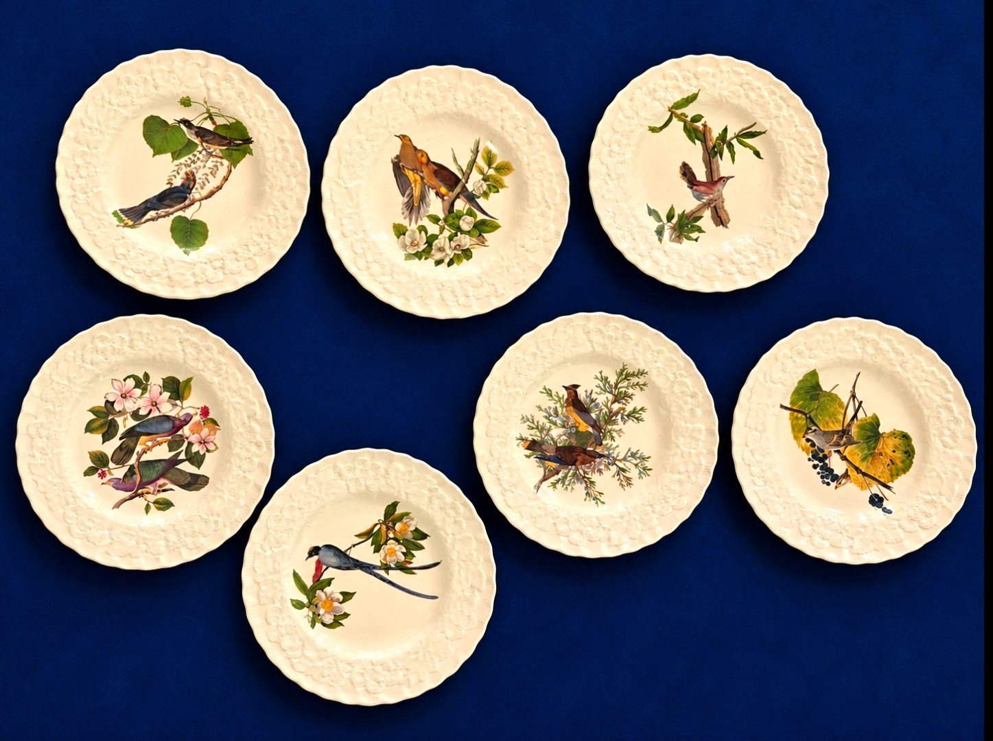 Vintage Alfred Meakin Audubon Birds of America 9" Plates Set of 7 Embossed Rim Vintage Alfred Meakin Audubon Birds of America 9" Plates Set of 7 Embossed Rim