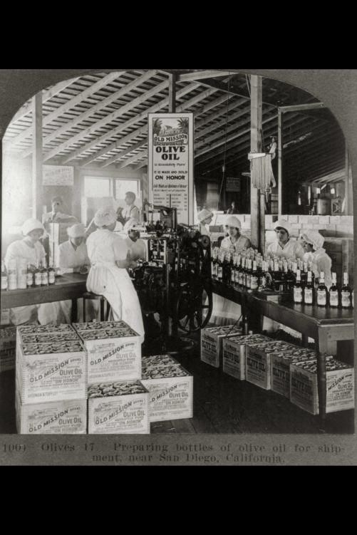 San Diego California 1923 Women Packing Old Mission Olive Oil Bottles San Diego California 1923 Women Packing Old Mission Olive Oil Bottles