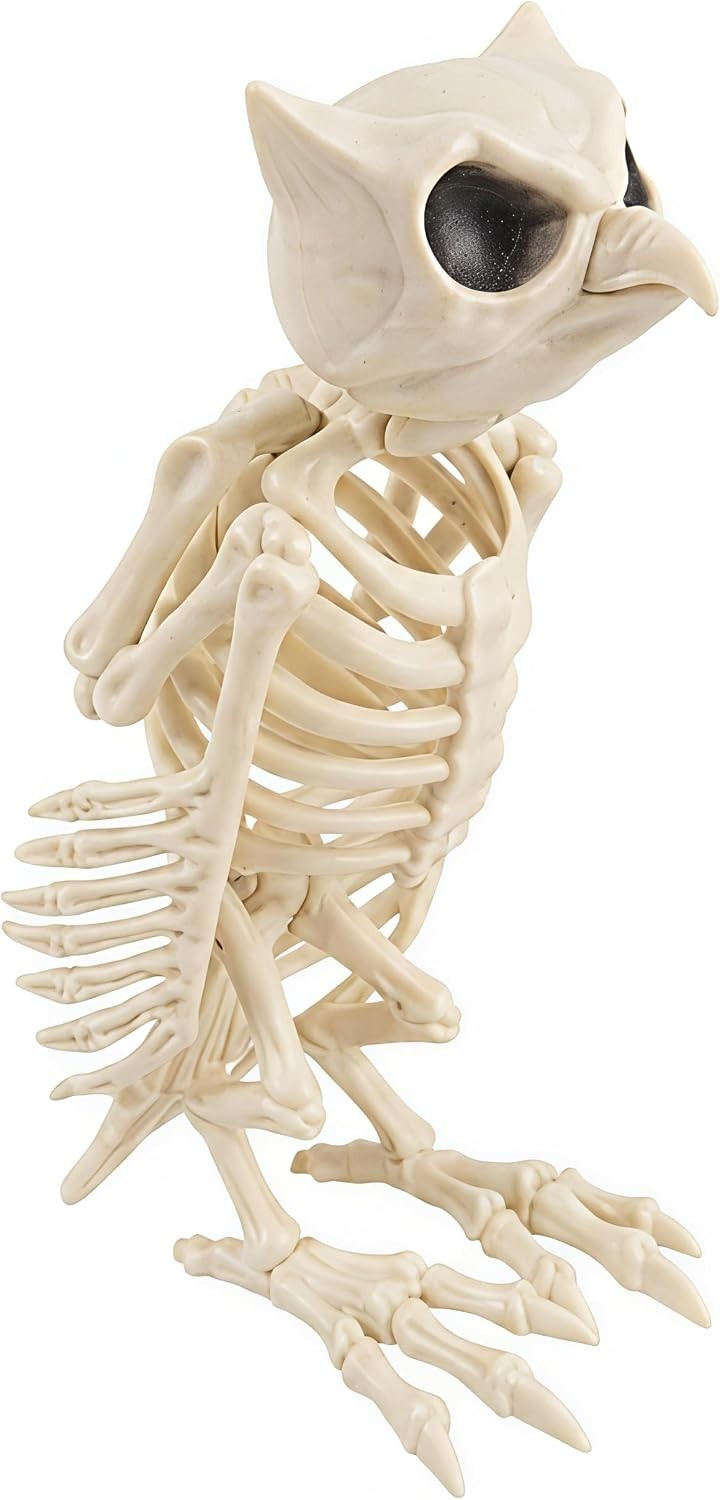 13.4" Halloween Owl Skeleton Decoration，Posable Joints for Halloween Prop Indoor
