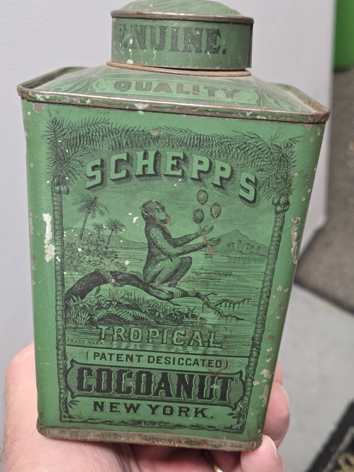 Antique 1870's Schepps Cocoanut Lithographed Green Spice Tin NY Monkey Graphics Antique 1870's Schepps Cocoanut Lithographed Green Spice Tin NY Monkey Graphics