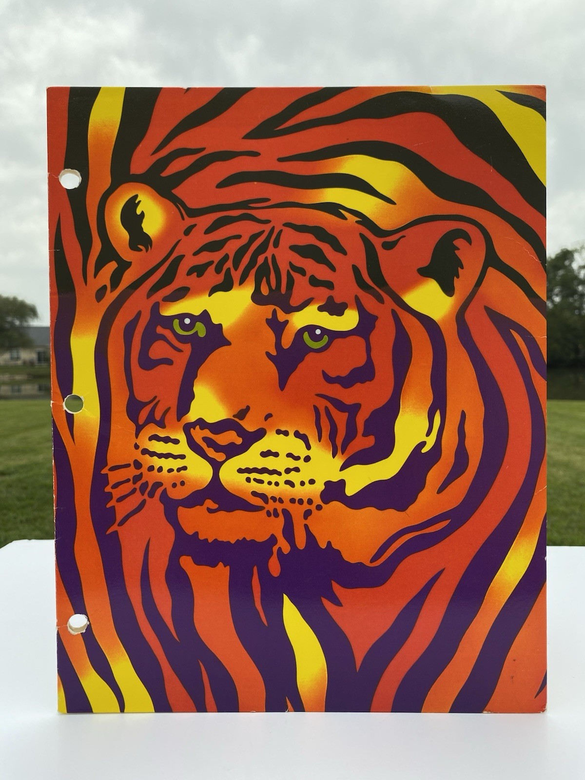 ๐ Vintage 1989 Lisa Frank Retro Tiger Blowouts 2 Pocket Folder Stuart Hall 80s ๐ Vintage 1989 Lisa Frank Retro Tiger Blowouts 2 Pocket Folder Stuart Hall 80s