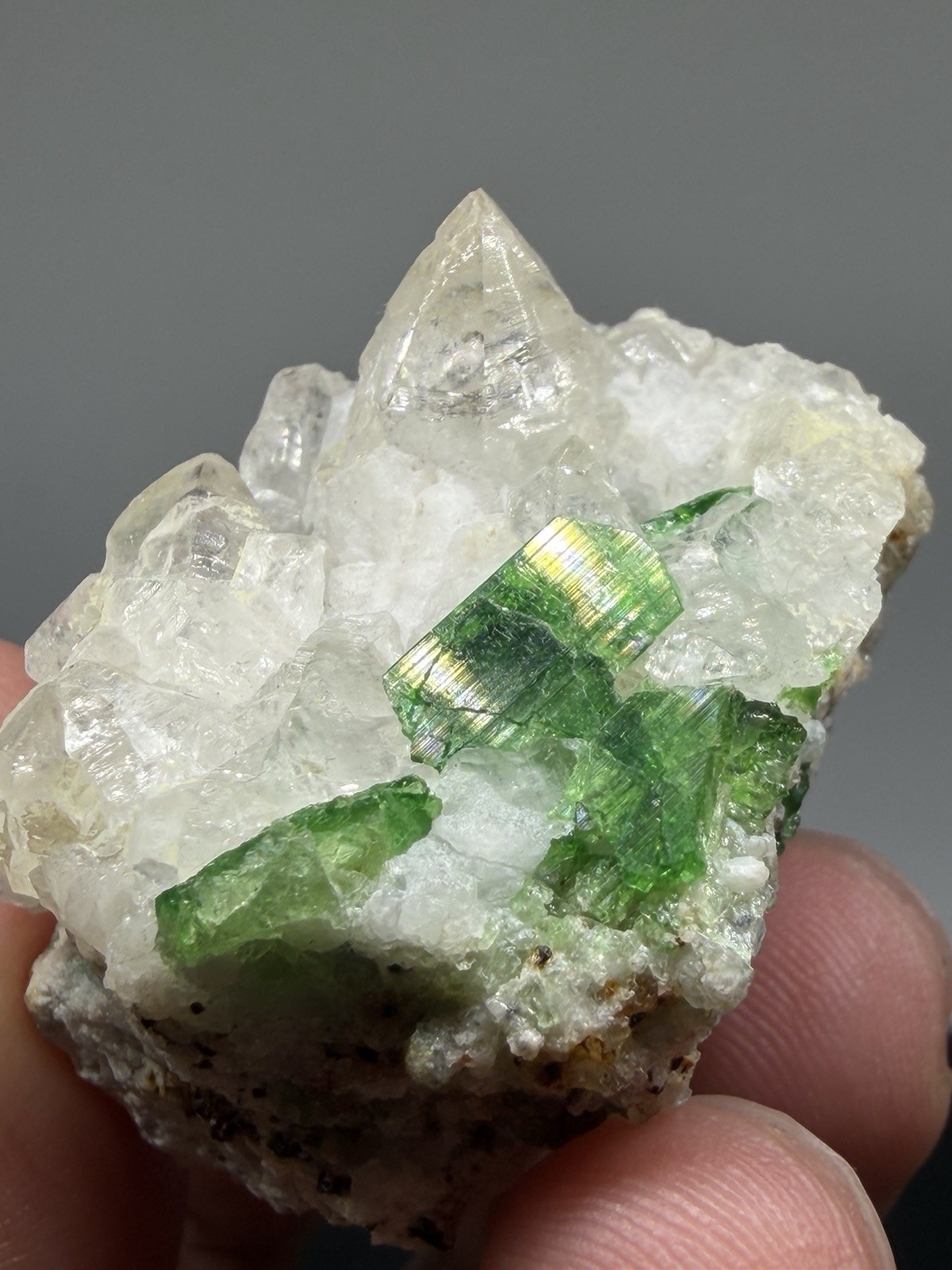 Natural Chrome Tourmaline Crystal from Arusha Tanzania, 4cm, 40gm Natural Chrome Tourmaline Crystal from Arusha Tanzania, 4cm, 40gm