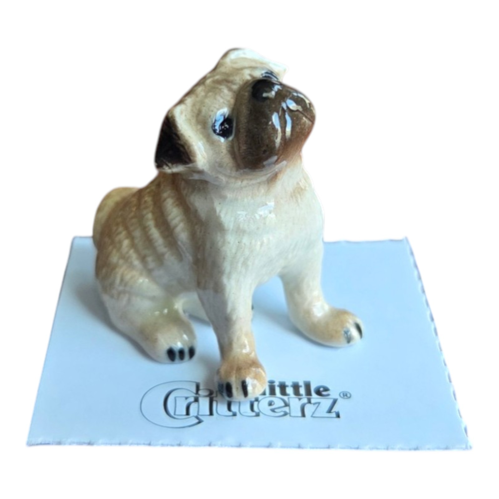 LITTLE CRITTERZ Dog Pug "Button" Miniature Figurine New  LC815