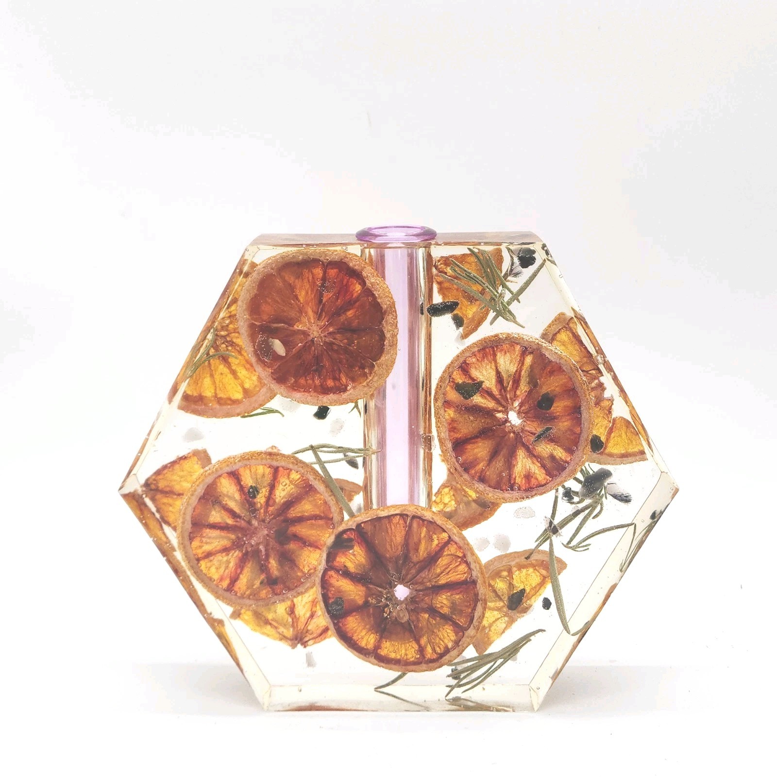 VTG Real Lemon Slices & Rosemary in Clear Lucite? Resin MCM Vase 5.5x6.5" VTG Real Lemon Slices & Rosemary in Clear Lucite? Resin MCM Vase 5.5x6.5"