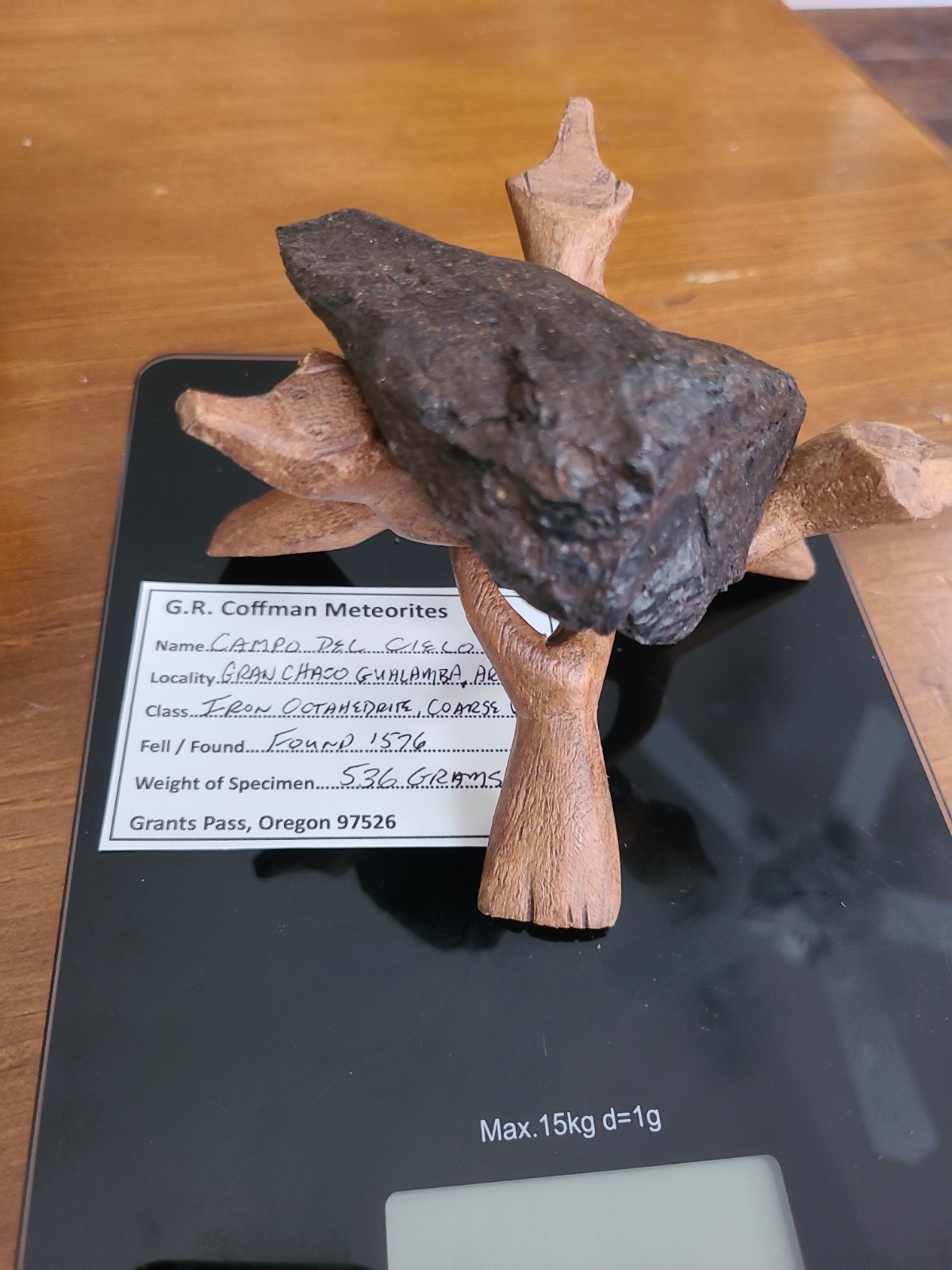 536 gram Large Campo del Cielo Iron Meteorite Specimen with Display Stand COA 536 gram Large Campo del Cielo Iron Meteorite Specimen with Display Stand COA