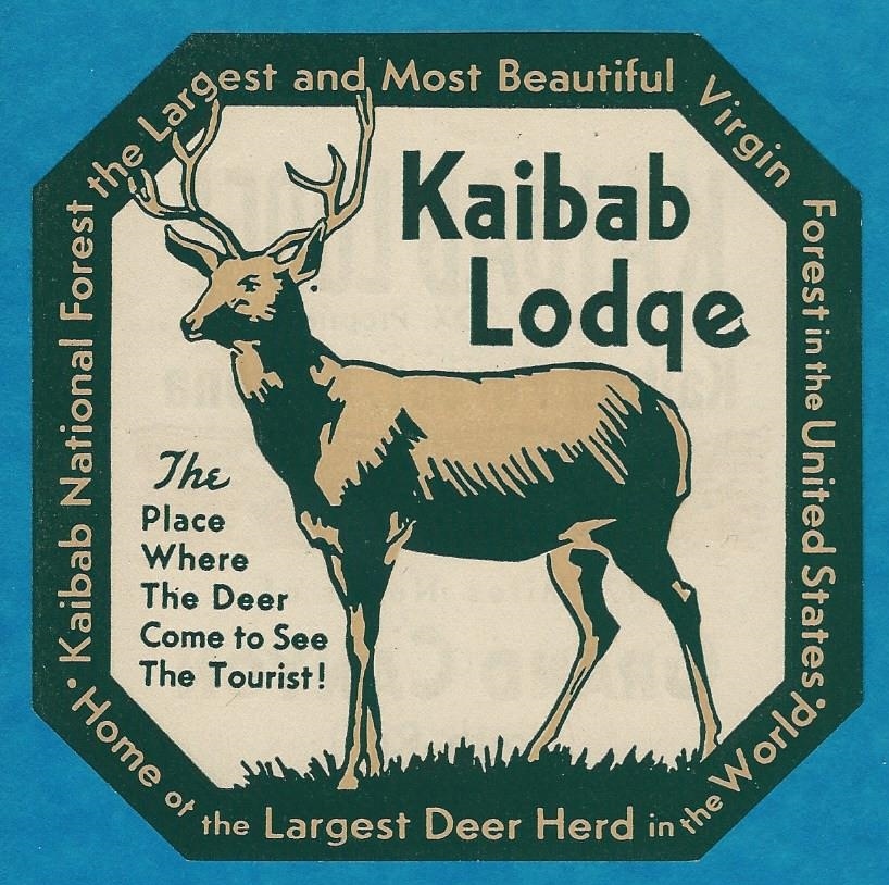 VINTAGE ORIGINAL 1946 "KAIBAB LODGE" KAIBAB FOREST ARIZONA TRAVEL DECAL ART NICE VINTAGE ORIGINAL 1946 "KAIBAB LODGE" KAIBAB FOREST ARIZONA TRAVEL DECAL ART NICE