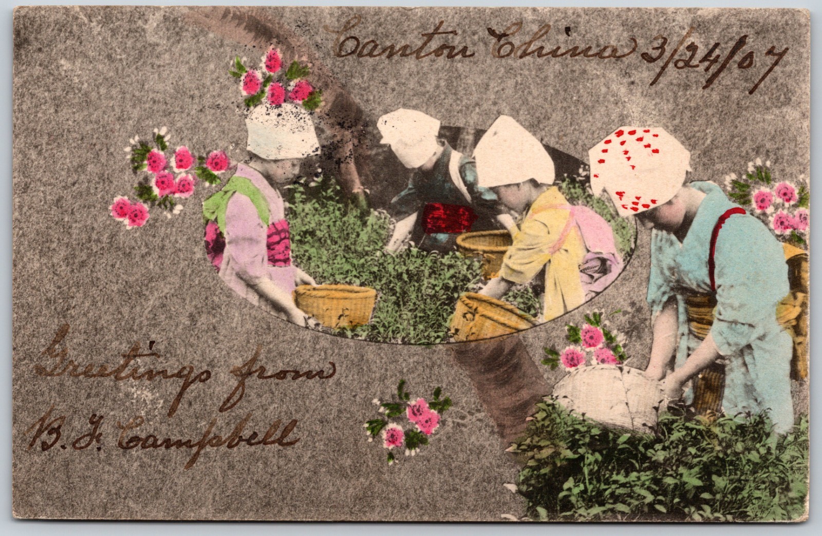 1907 Children Tea Harvesting Canton China Guangzhou Colorful ANTIQUE Postcard 1907 Children Tea Harvesting Canton China Guangzhou Colorful ANTIQUE Postcard