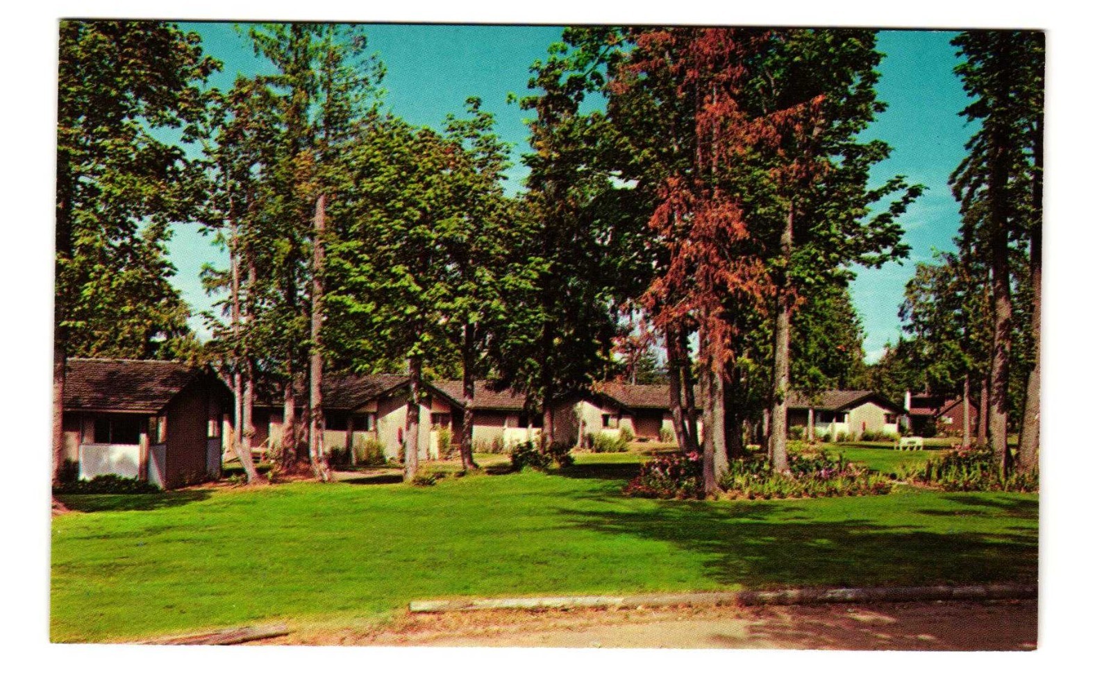Warm Beach Camp near Stanwood Washington vintage postcard unposted