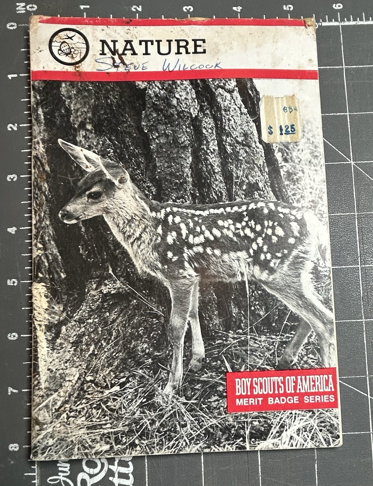 Vintage Nature Merit Badge Series 1973 1987 Boy Scouts of America BSA Guide Book