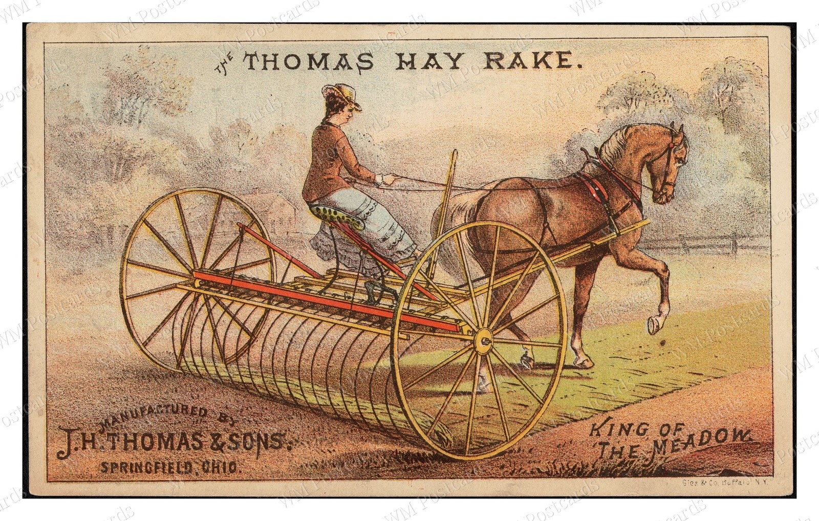 Springfield Ohio 1880s Thomas Hay Rake Horse Standard Postcard Springfield Ohio 1880s Thomas Hay Rake Horse Standard Postcard