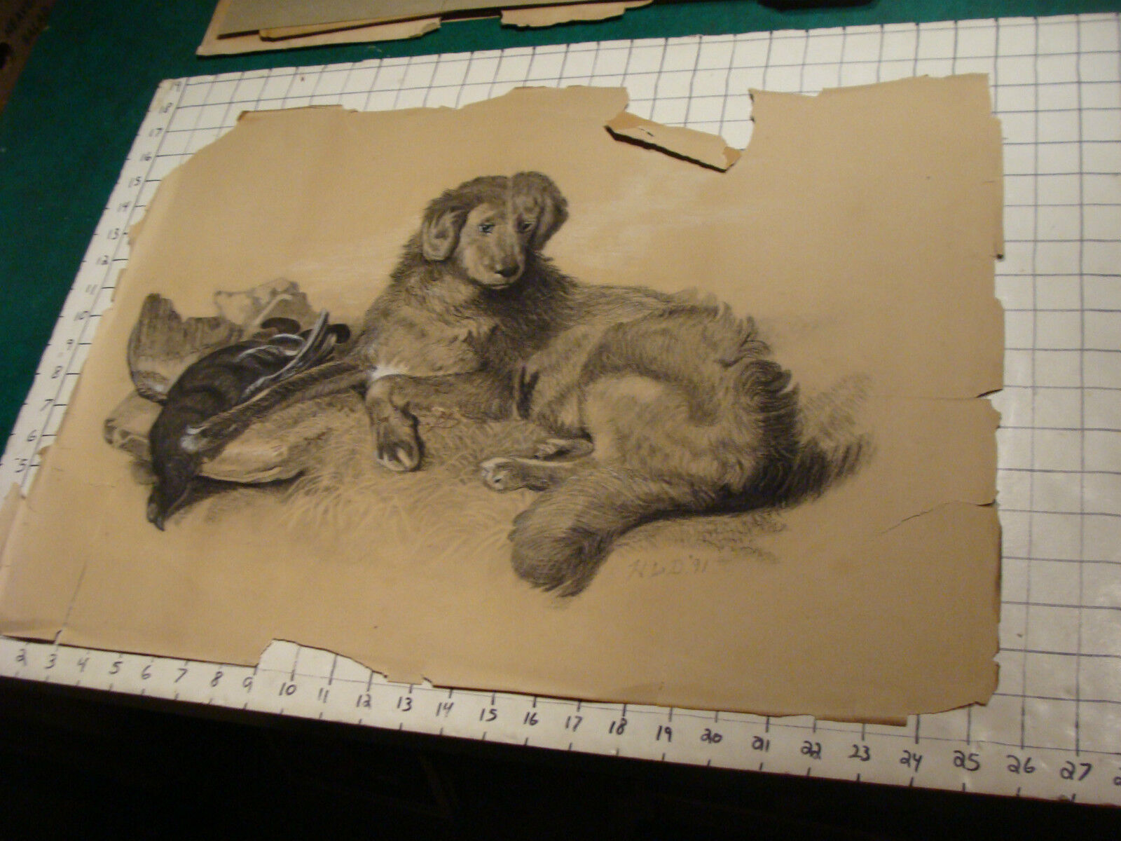 original 1891 Signed drawing of DOG and the Bird it got, on paper, torn, SO GOOD