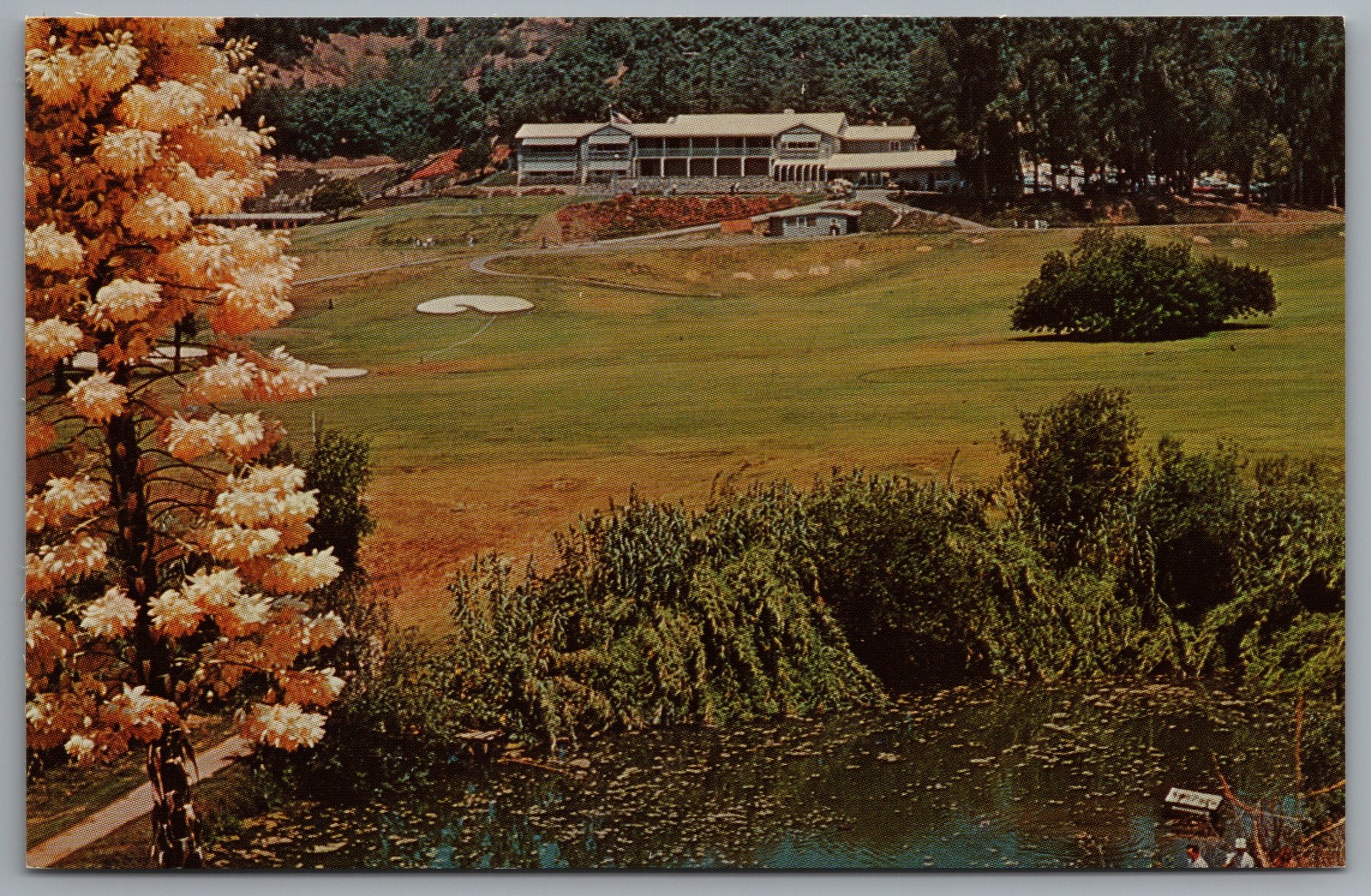 La Habra CA Hacienda Golf Club Clubhouse Course c1960 Postcard La Habra CA Hacienda Golf Club Clubhouse Course c1960 Postcard