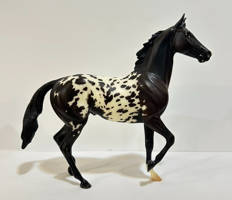 BreyerFest 2015 "Quelle Surprise" Matte Bay Appaloosa Lonesome Glory 560 Made