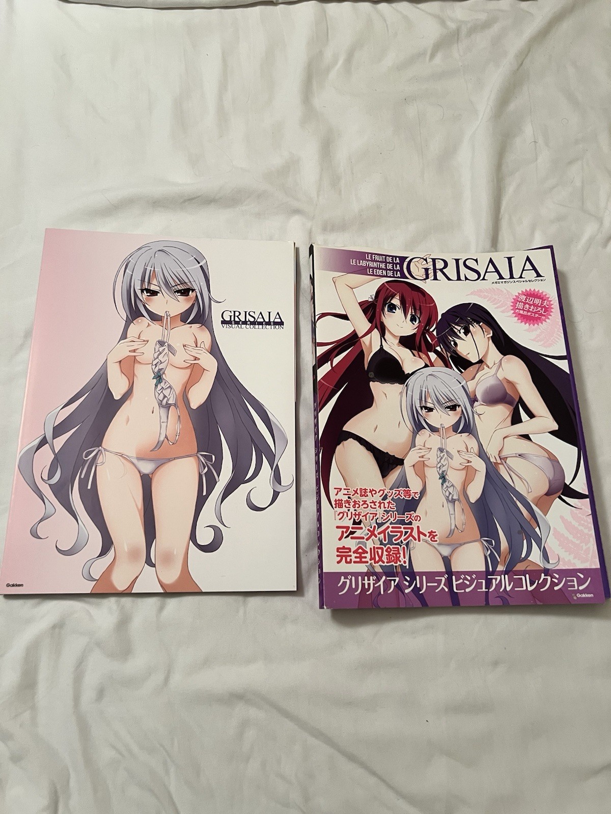 Fruit Of Grisaia Visual Collection Book Fruit Of Grisaia Visual Collection Book
