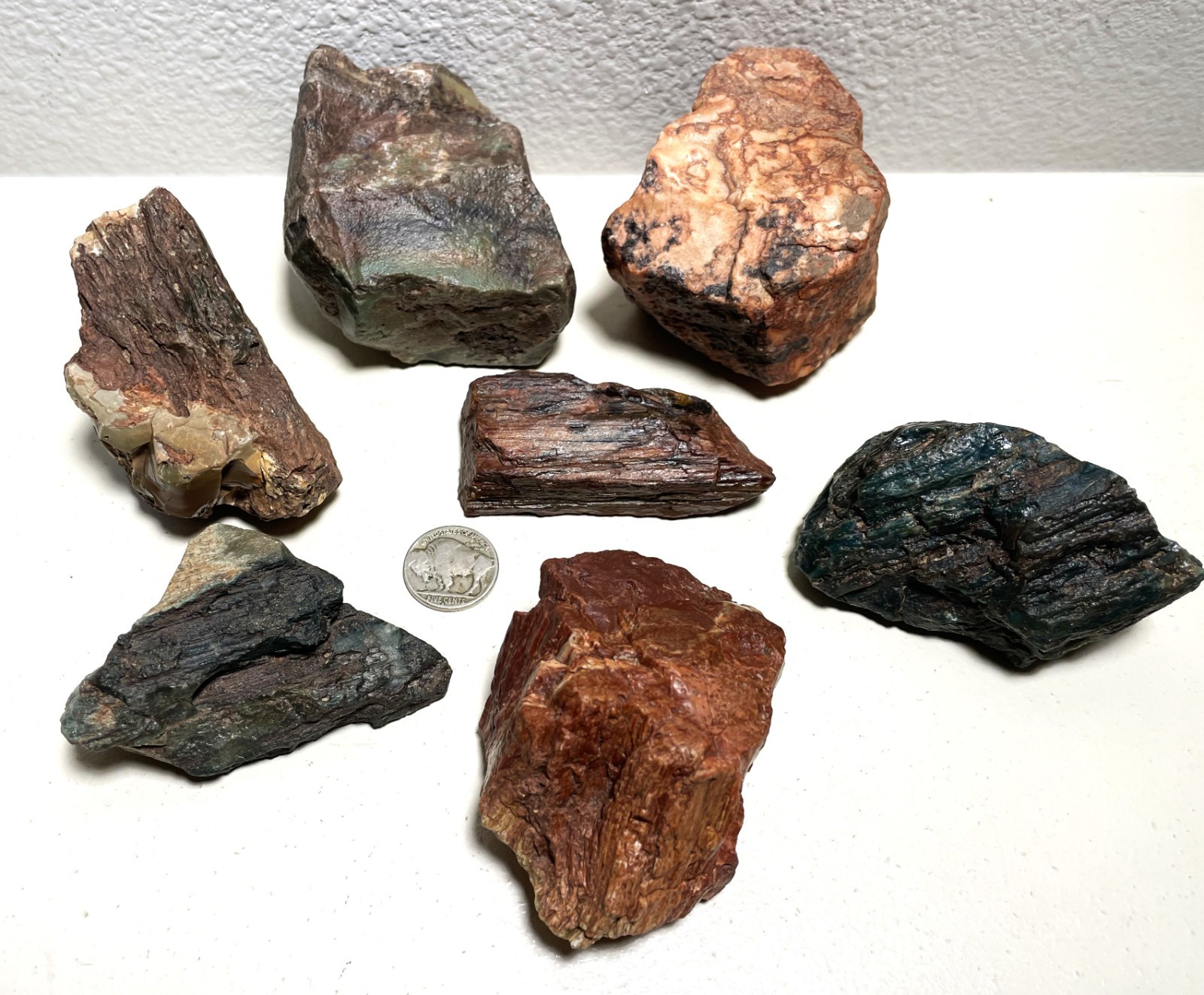 Hampton Butte PETRIFIED WOOD 7 Specimens 2 lbs 14 ozs Green Red Tan Desktop Hampton Butte PETRIFIED WOOD 7 Specimens 2 lbs 14 ozs Green Red Tan Desktop