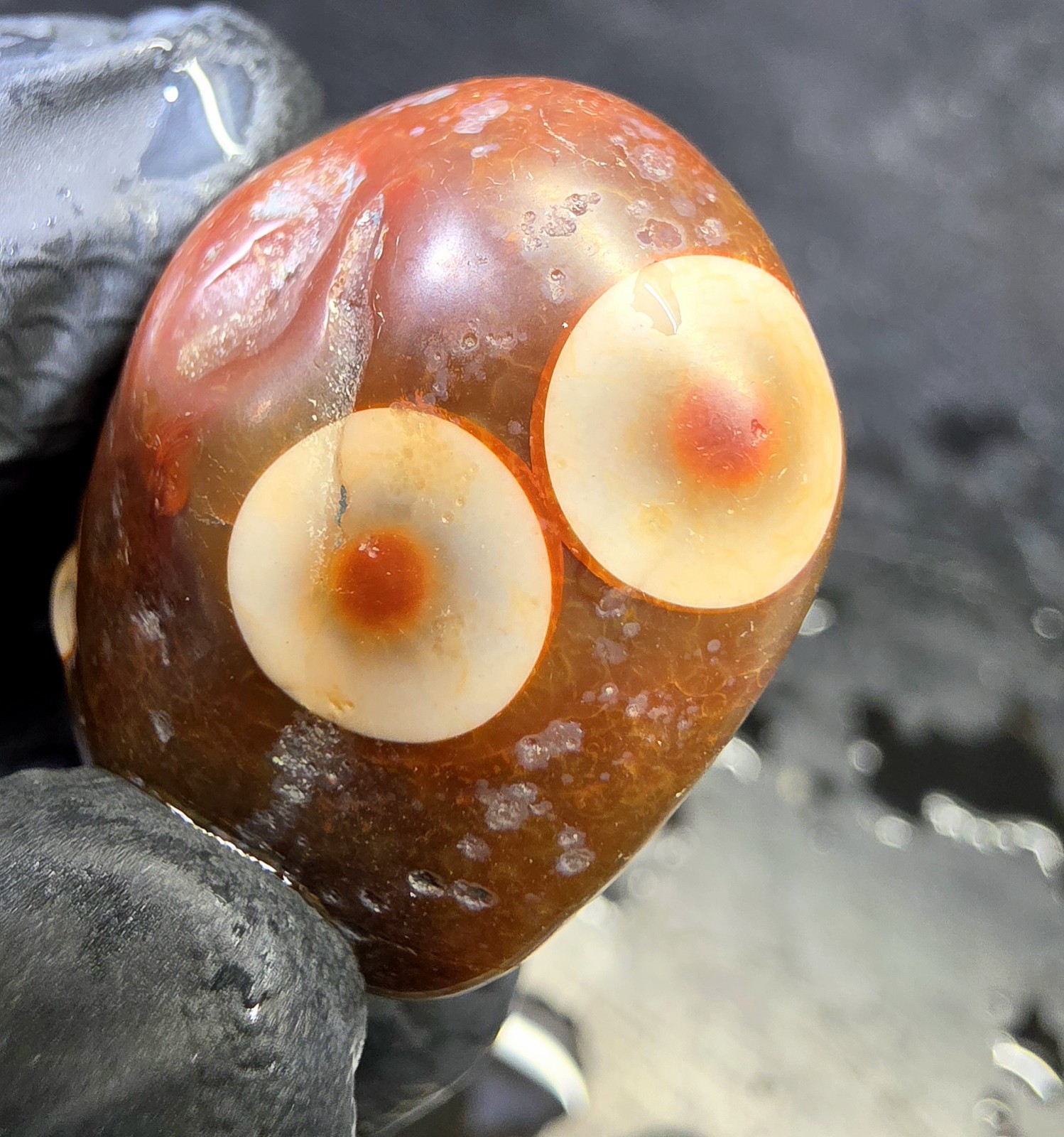 Collectors Specimen Lake Superior Orbicular Fortification Agate"Fractured" 1.3oz Collectors Specimen Lake Superior Orbicular Fortification Agate"Fractured" 1.3oz