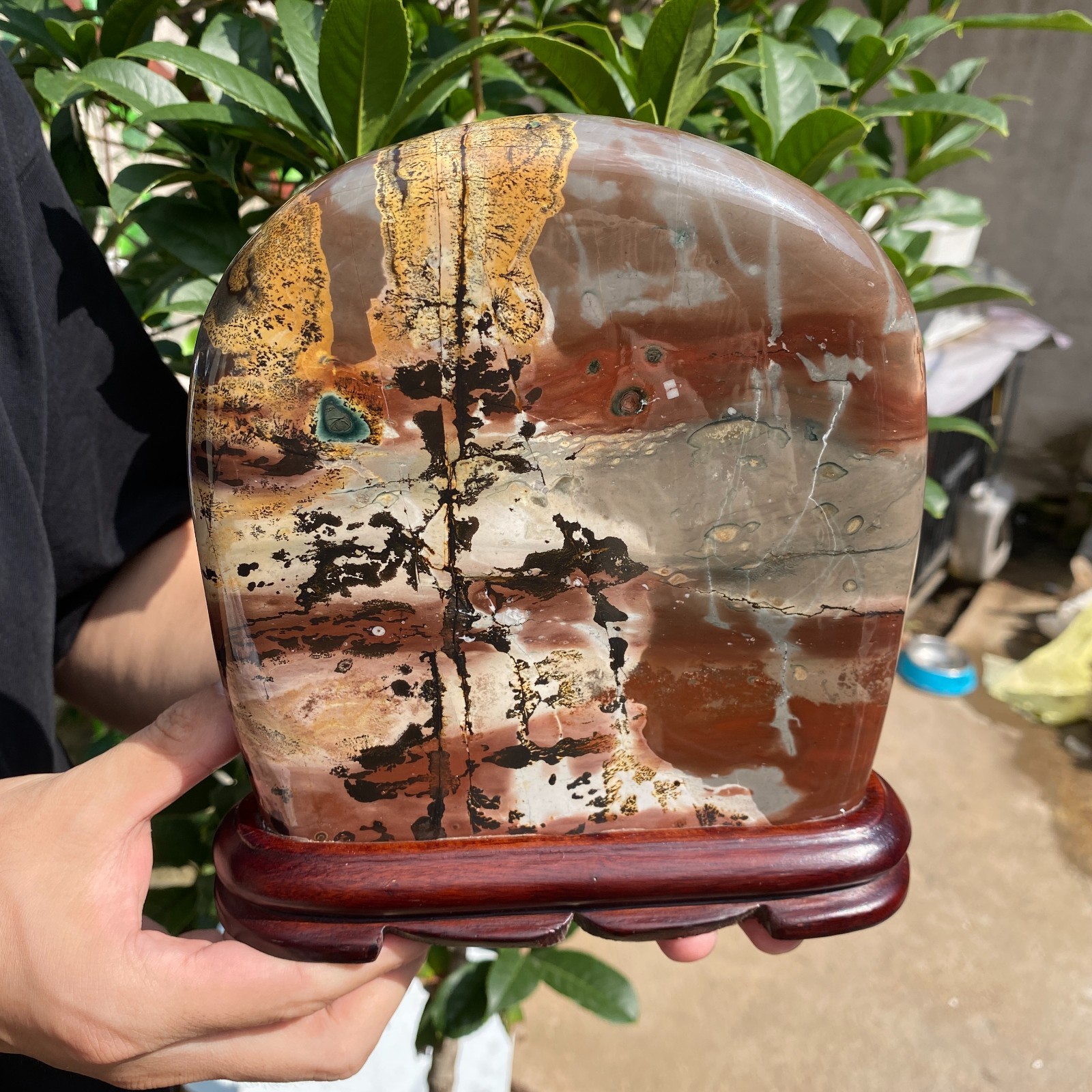 5.5LB Beautiful Natural Chinese Dendritic Limestone Picture Stone Guohua - Rare