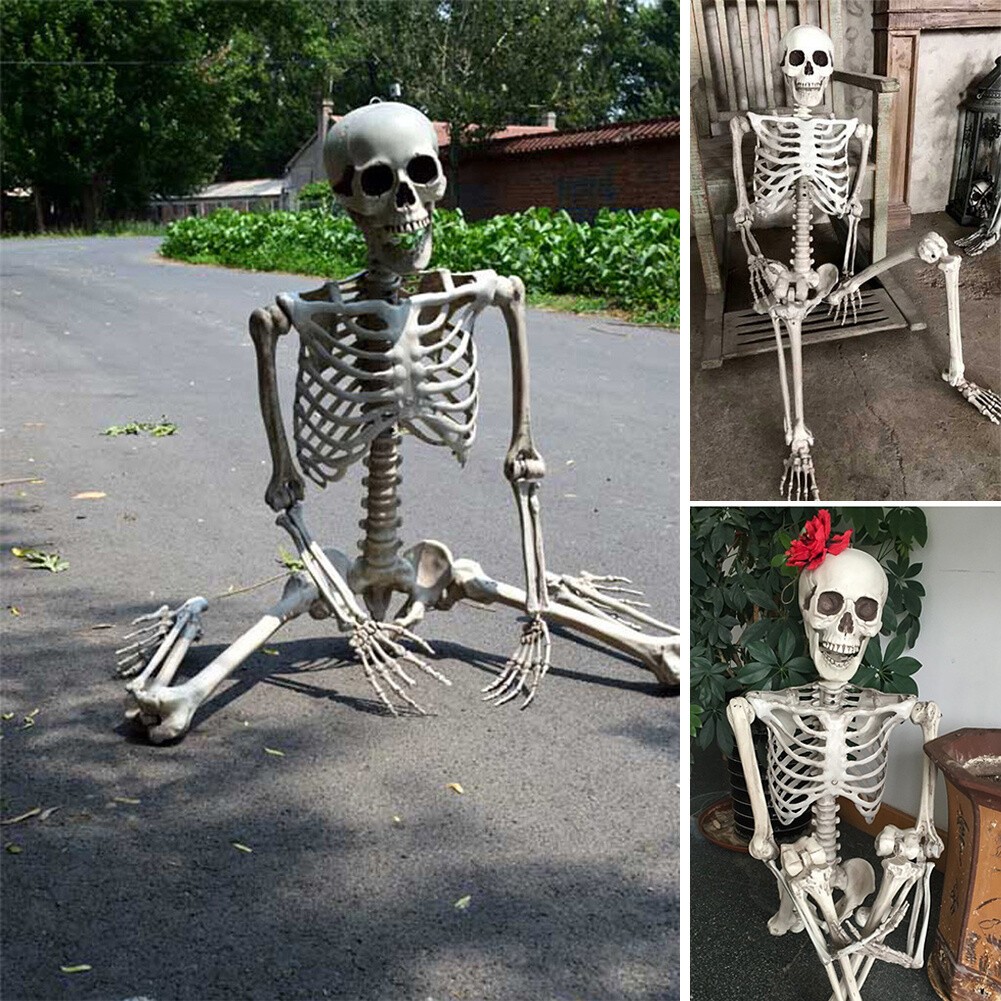 5.4FT Life Size Halloween Skeleton Full Body Movable Joints Indoor Outdoor Decor 5.4FT Life Size Halloween Skeleton Full Body Movable Joints Indoor Outdoor Decor