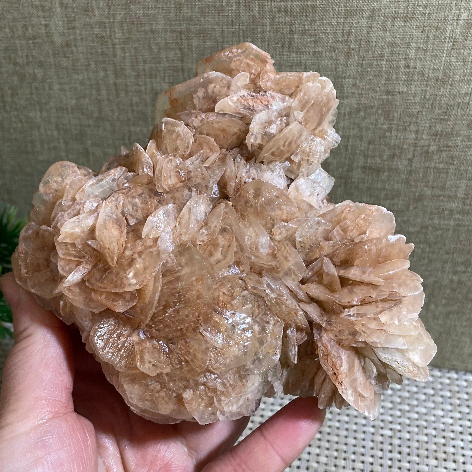533g NATURAL Yellow Phosphorescent Calcite Crystal Mineral Specimen 533g NATURAL Yellow Phosphorescent Calcite Crystal Mineral Specimen