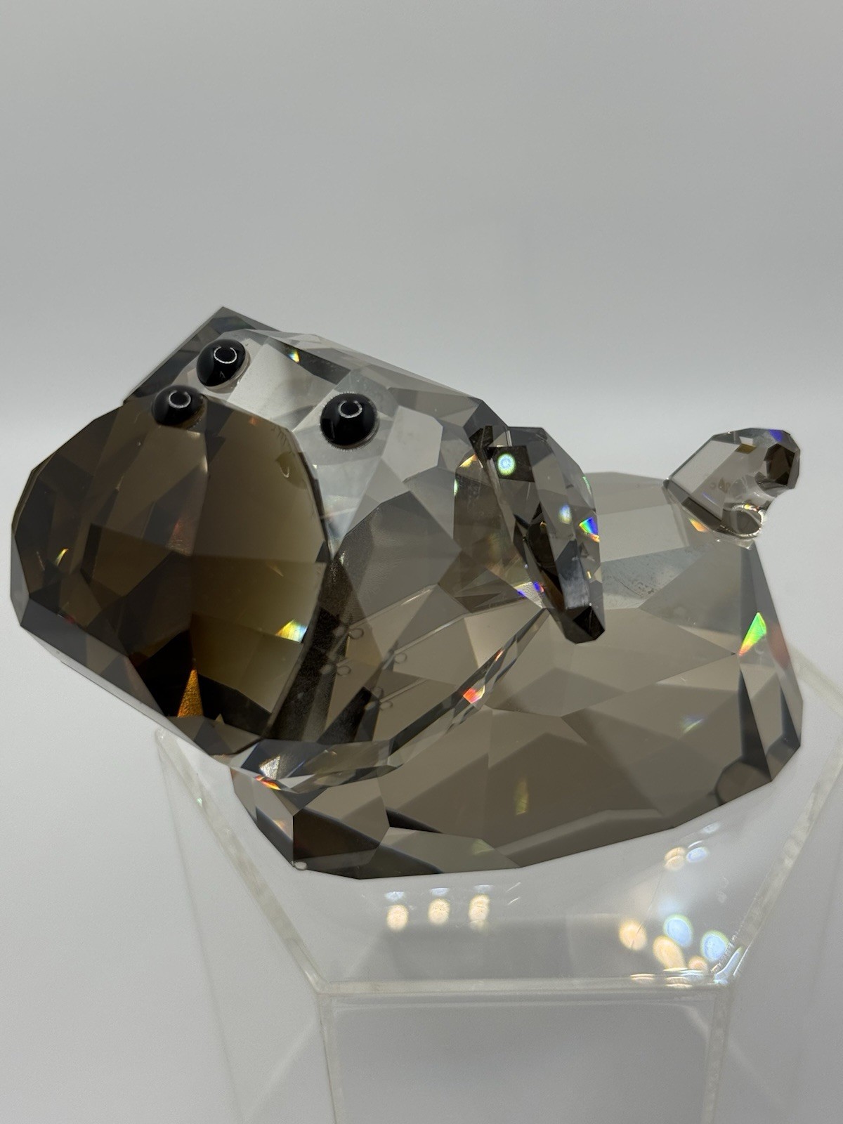 Swarovski TOMASO Large Bulldog Crystal Fig.  Lovlots Gang Of Dogs BNIB 0935722