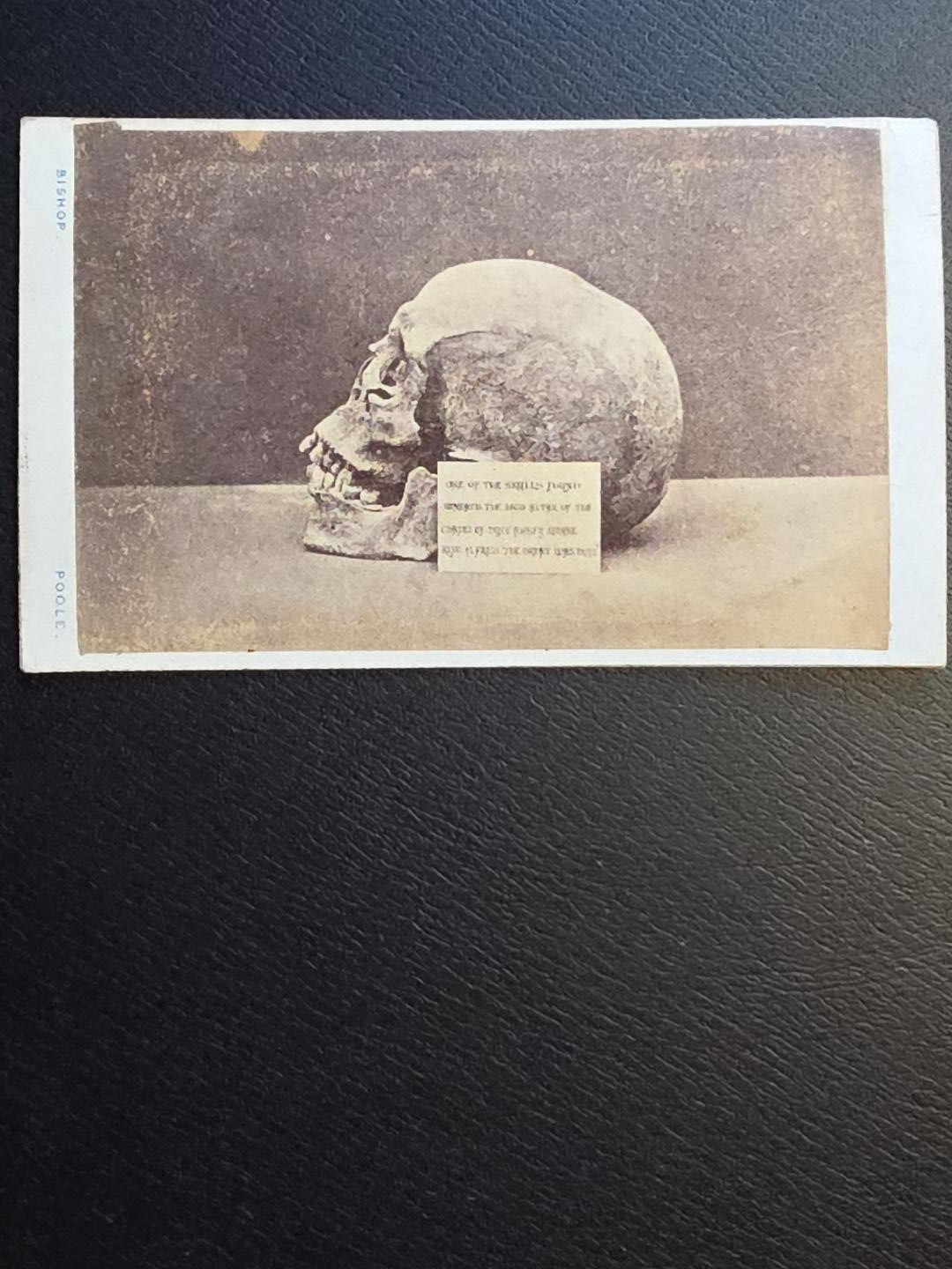Antique CDV Photo Human Skull King Alfred the Great Hyde Abbey 1879 Victorian Antique CDV Photo Human Skull King Alfred the Great Hyde Abbey 1879 Victorian