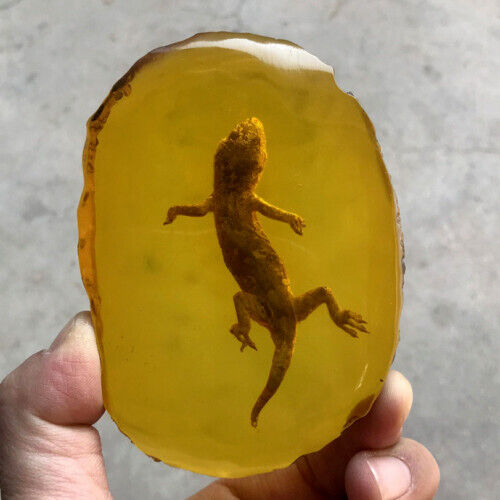 Beautiful Amber Fossil Insects Manual Polishing Gecko Amber Ornaments