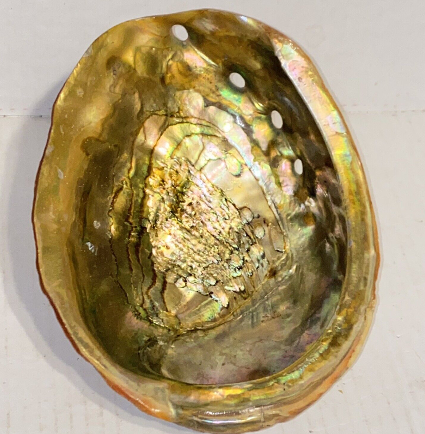 Vintage Large Red Abalone Shell Dish Gold Rainbow Iridescence Smudge Pot Decor Vintage Large Red Abalone Shell Dish Gold Rainbow Iridescence Smudge Pot Decor