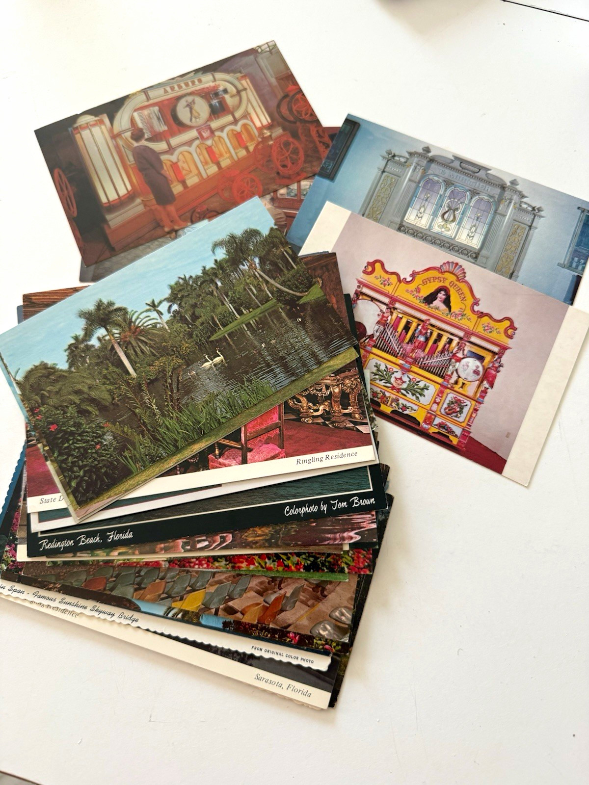 Florida Sunken Gardens St Petersburg FL Postcard Lot Unposted 37pcs Florida Sunken Gardens St Petersburg FL Postcard Lot Unposted 37pcs