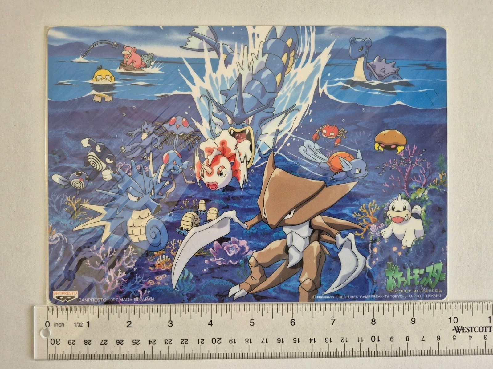 Pokemon Japanese Bandai Carddass - Jumbo Art Board Gyarados & Kabutops SEALED Pokemon Japanese Bandai Carddass - Jumbo Art Board Gyarados & Kabutops SEALED