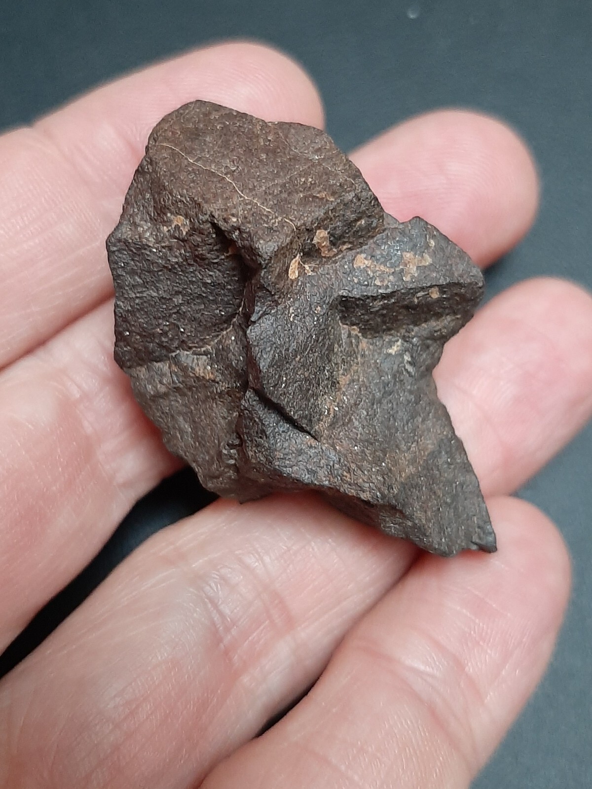Meteorite Chondrite unclassified NWA - 38,90g / 4,4 cm - French old collection Meteorite Chondrite unclassified NWA - 38,90g / 4,4 cm - French old collection