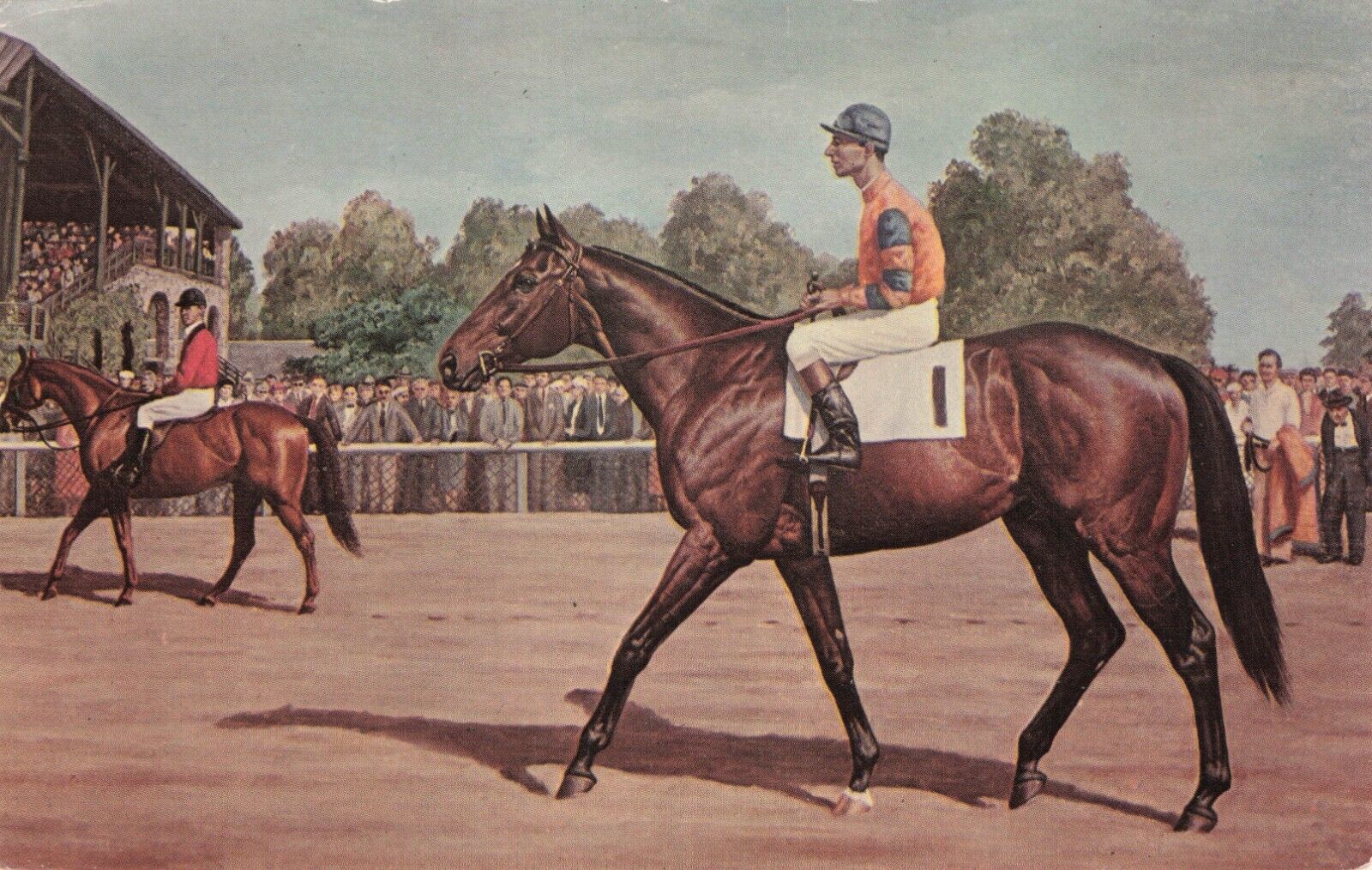 Artist Card Richard Stone Reeves Thoroughbred Race Horse Nashua  Postcard c 1960