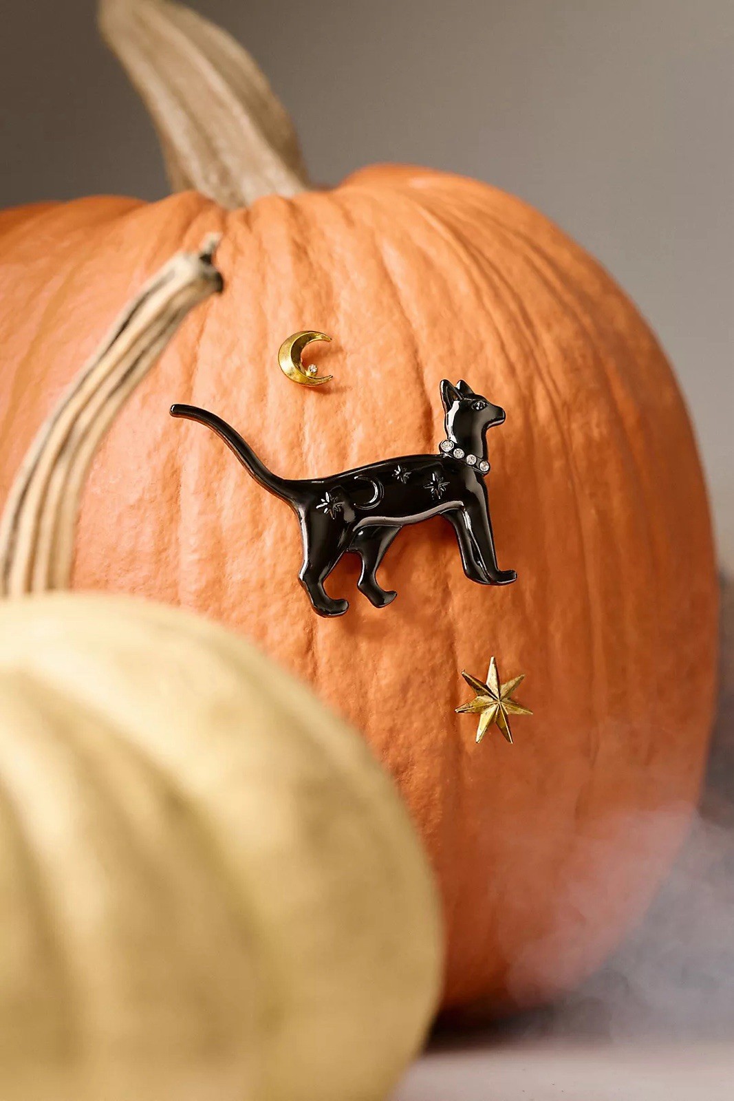 Anthropologie Halloween Black Cat Star Moon Pumpkin Pin Charms Decor NWT Anthropologie Halloween Black Cat Star Moon Pumpkin Pin Charms Decor NWT