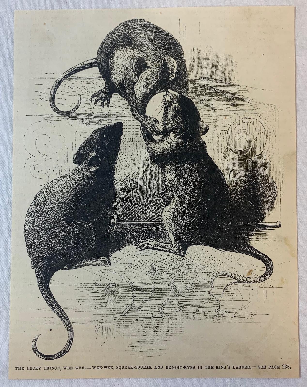 1880 magazine engraving ~ WEE-WEE, SQUEAK-SQUEAK, BRIGHT-EYES ~ MICE
